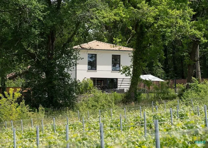 La Des Vignes * Cénac